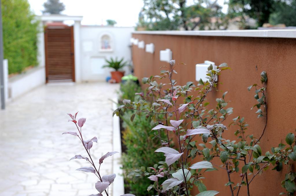 B&B Sun House Modugno Bagian luar foto